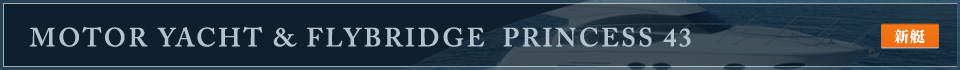 MOTOR YACHT & FLYBRIDGE　PRINCESS 43